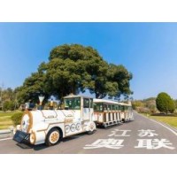 高尔夫球车 电动高尔夫球车 高尔夫车 电动观光车