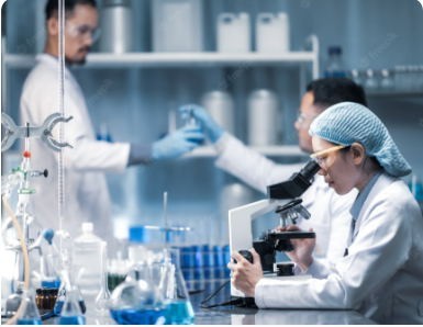 活性炭检测服务