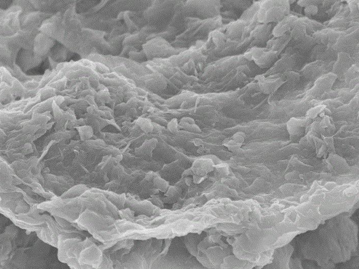 亚甲基蓝吸附值检测