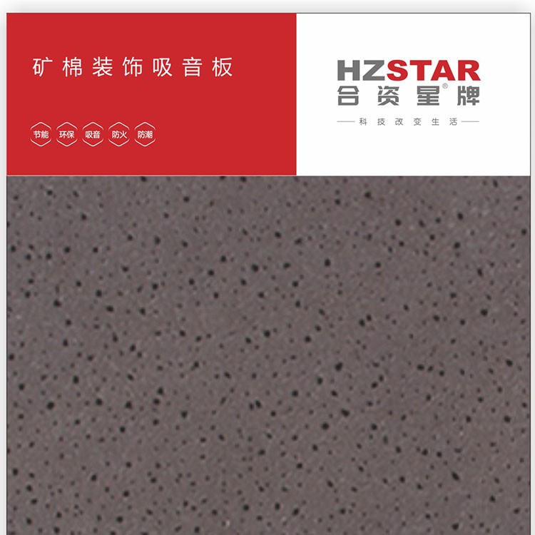 合资星牌矿棉板