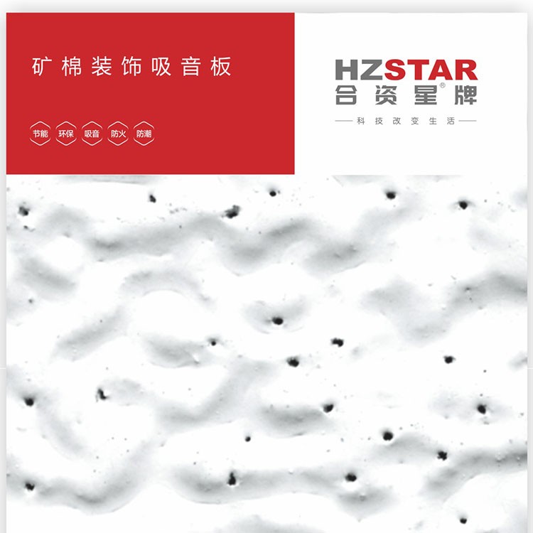 合资星牌矿棉板