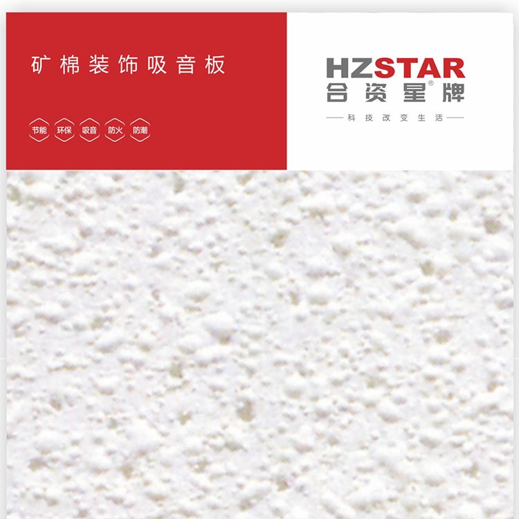 合资星牌矿棉板
