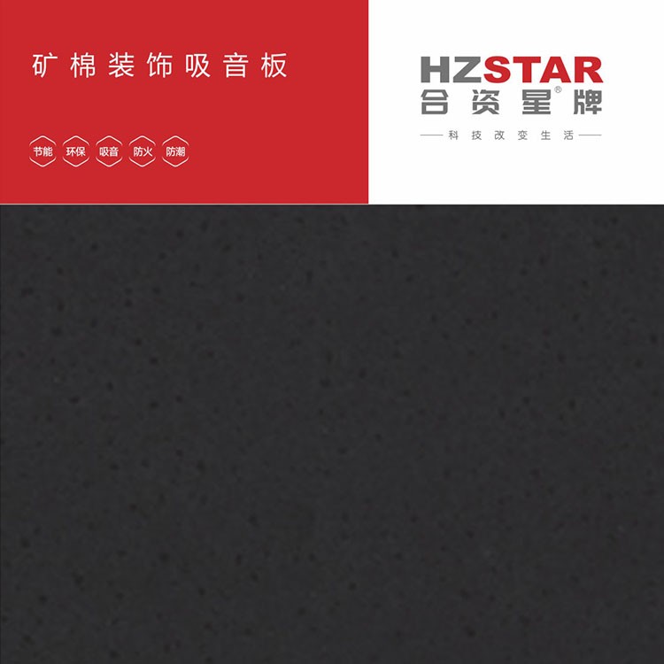 合资星牌矿棉板