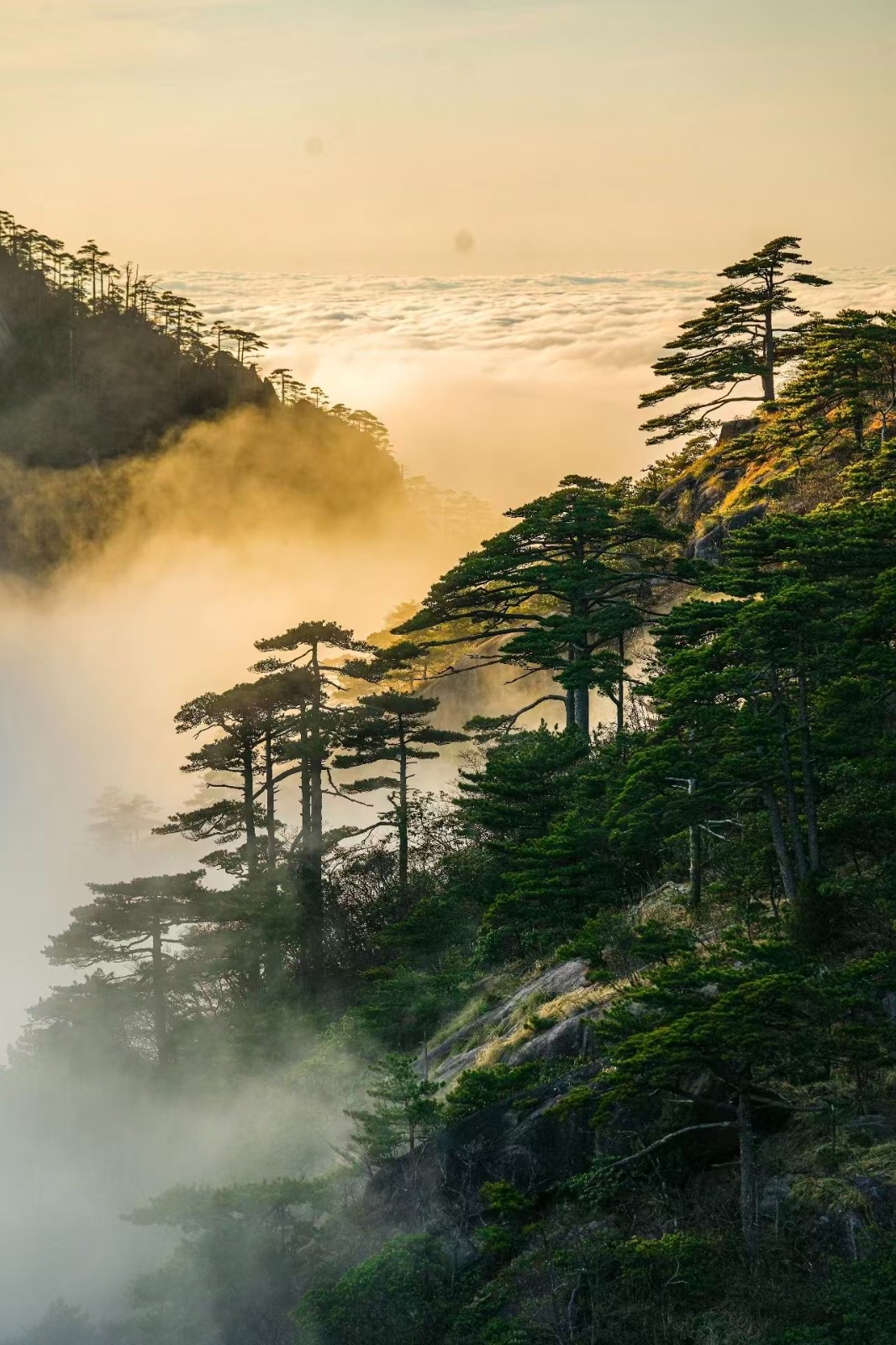 黄山地接社