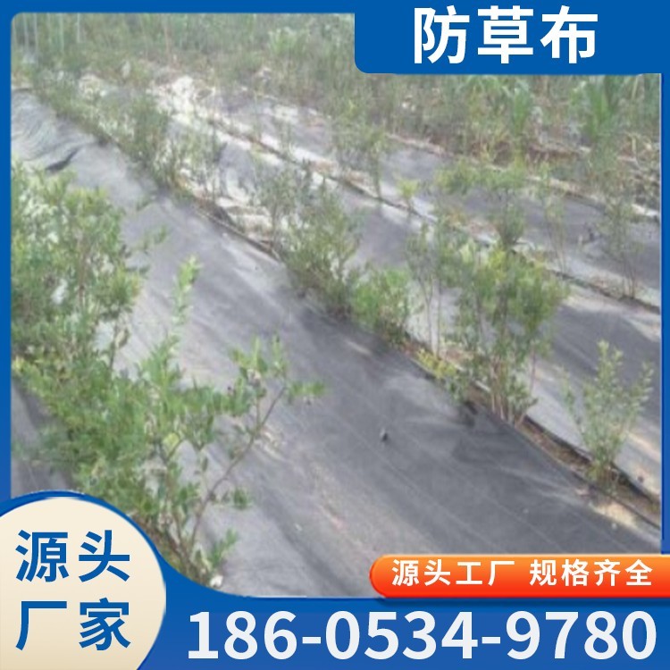 防草布