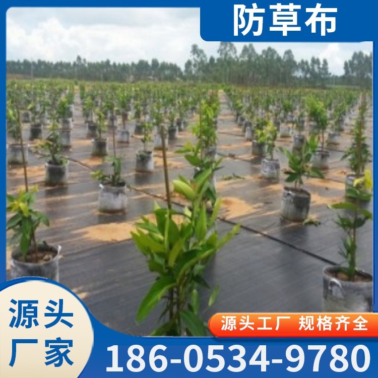 防草布