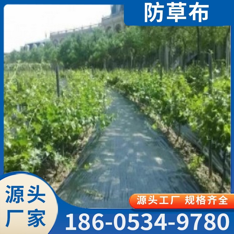 防草布
